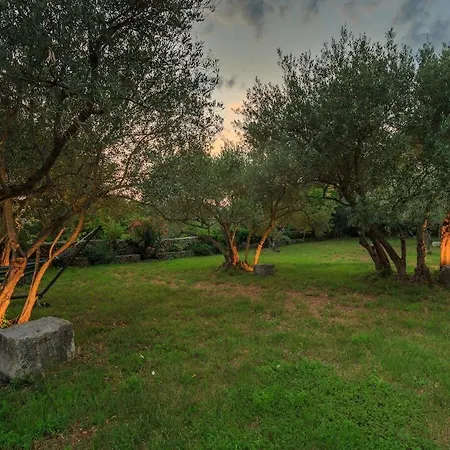Oliva Villa *
