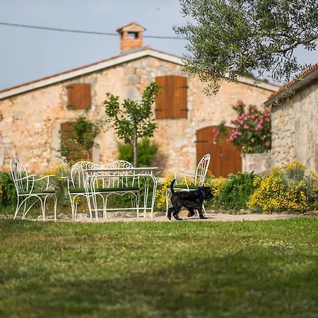 Villa Oliva Skrbčići