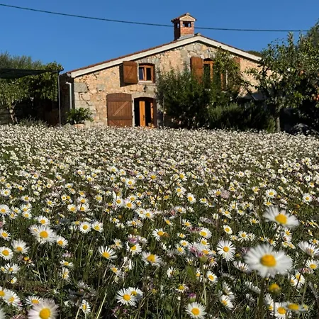 Oliva Villa