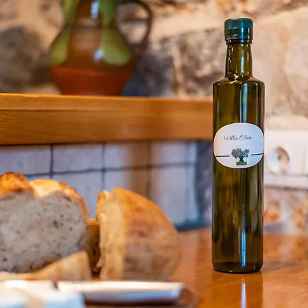 Oliva Villa Skrbčići